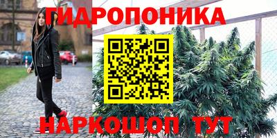 амф Старая Купавна