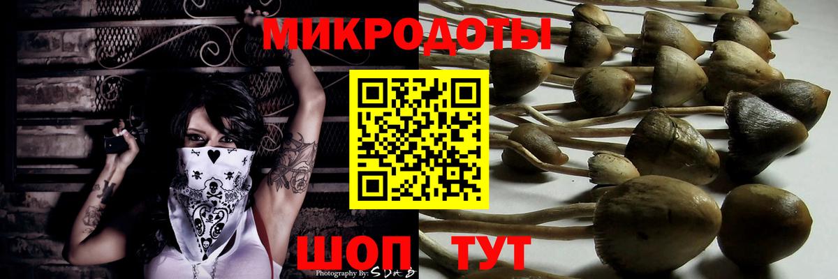 Нарткала  Галлюциногенные грибы Psilocybe  Псилоцибиновые грибы ЛСД  Вход с VPN 