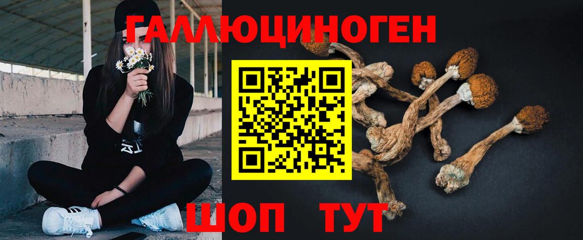 Галлюциногенные грибы мицелий Нарткала